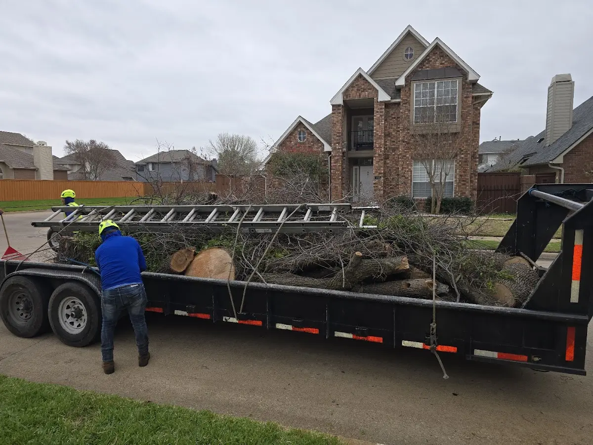 Expert Tree Fertilization with proper safety equipment in Beaver
